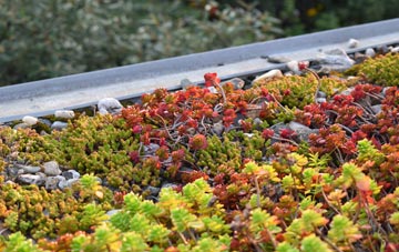 the cost of Bromsash green roof installation